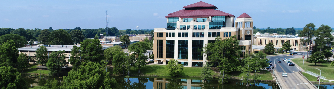 view of the library on Bayou DeSiard