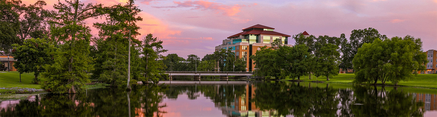 photo of library on the bayou