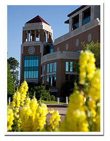 photo of library on sunny day with flowers