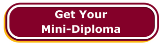 mini-diploma button