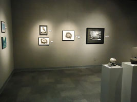 gallery view south