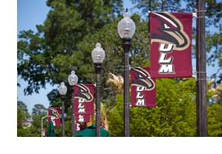 photo of warhwk flags