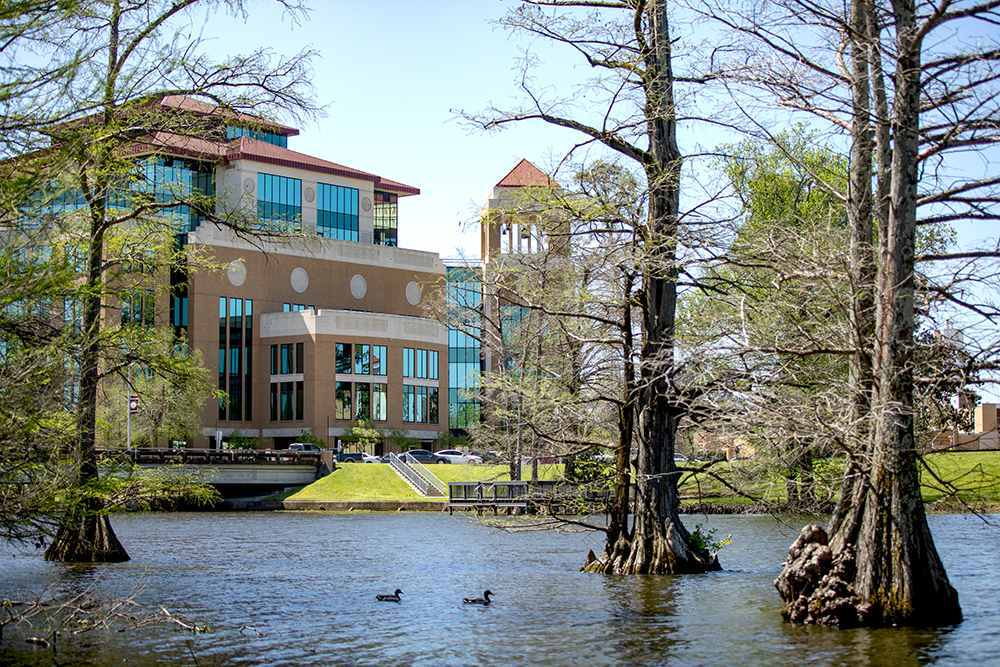 On the bayou