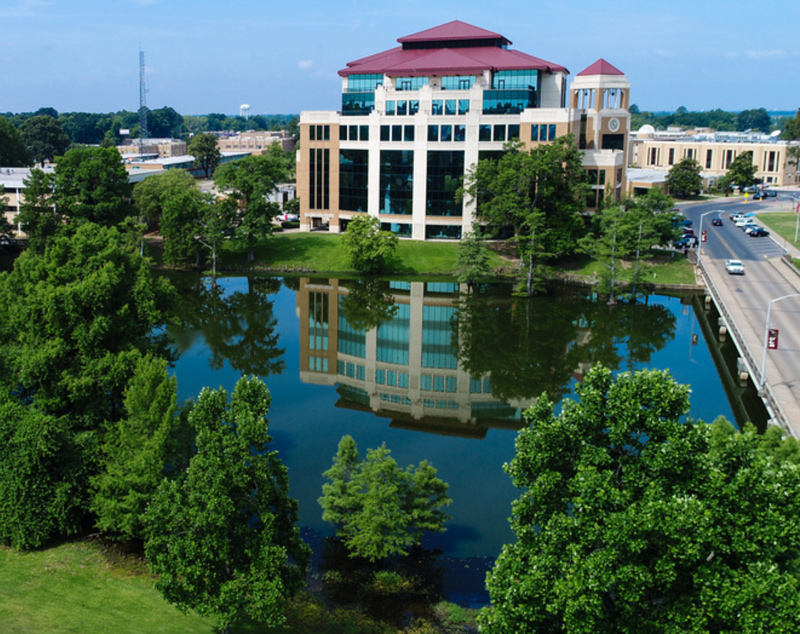 photo of library on the bayou